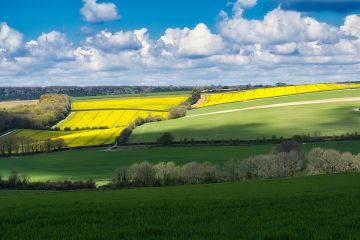 Chichester Modular Kiosks For Sale